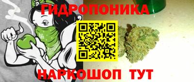 бошки Волгодонск