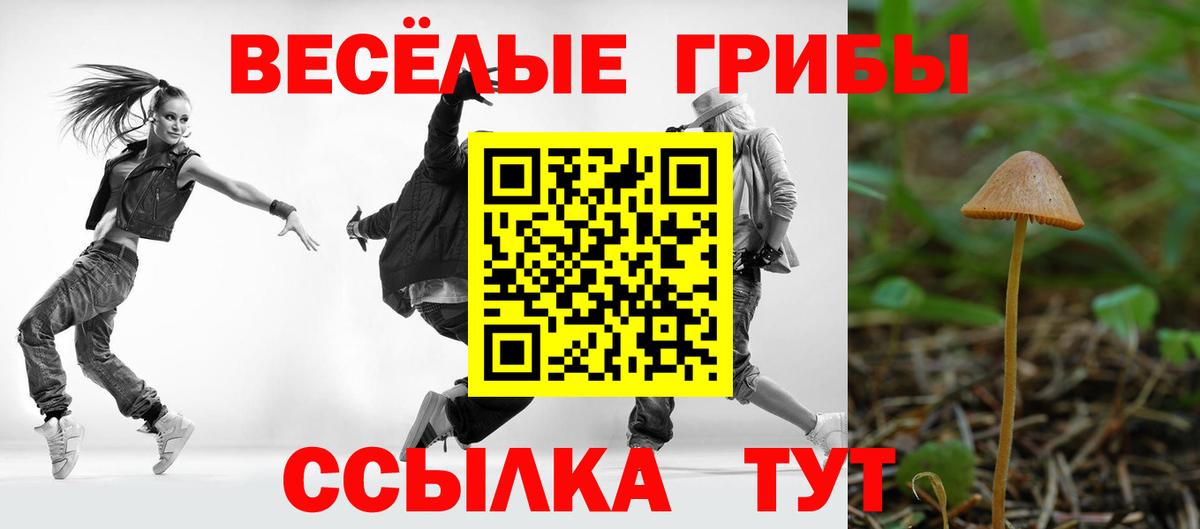 Псилоцибиновые грибы Psilocybe  Вход с VPN  Галлюциногенные грибы Psilocybe  Дедовск 